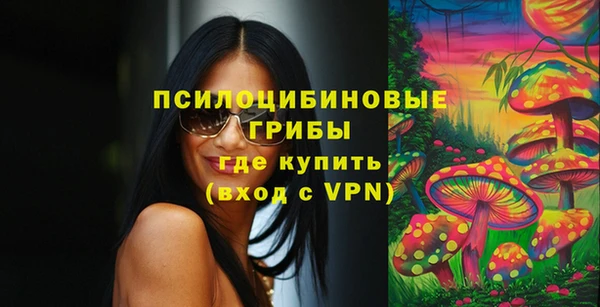 mdpv Осинники