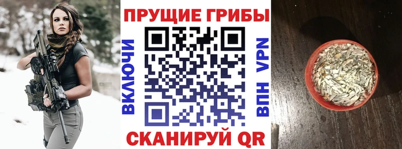 Галлюциногенные грибы Cubensis  Купить  Петровск 